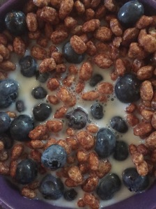 Sprouted Brown Rice Cacao Crisps + blueberries + almond milk = mmmm